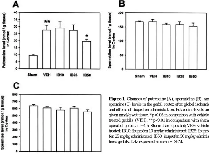Figure 1. Changes of putrescine (A), spermidine (B), and spermine (C) levels in the gerbil cortex after global ischemia and effects of ibuprofen administration