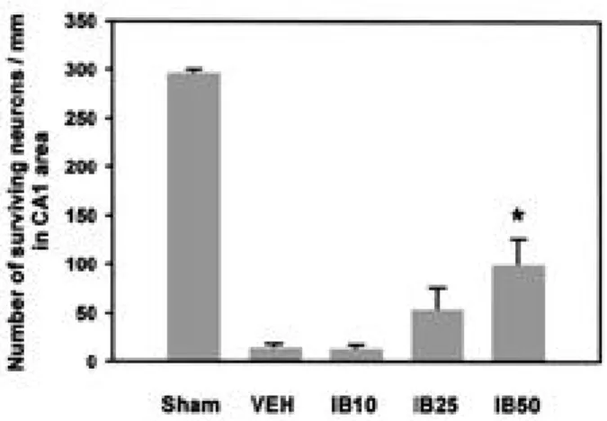 Figure 4. Effect of ibuprofen administration on the number of surviving cells in the CA1 area of hippocampus 5 days after transient global ischemia in gerbils