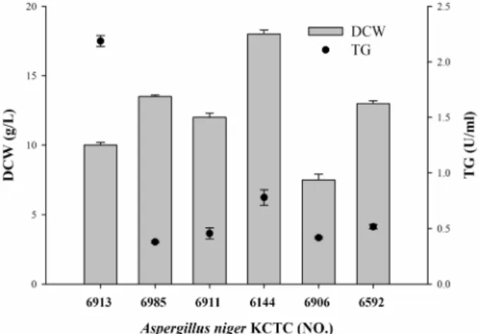Fig.  2.  The  screening  for  optimum  Aspergillus  niger  to  produce  TG.  6-different  sub-species  of  Aspergillus  niger  were   cul-tured  under  30℃ on  basic  media,  and  the  TG  activity  assay  was  carried  out  with  p-NPG  assay.