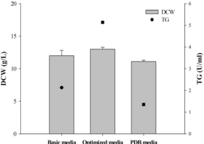 Fig.  6.  Evaluation  of  the  optimized  media  for  TG  activity.  The  basic  and  PDB  media  were  used  as  control  media  for  TG  production,  and  the  Aspergillus  niger  KCTC6913  was  cultured  15  days  on  initial  pH  5.0  for  each  media.