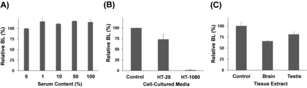 Figure 3. Assay of MMP-7 activity by BL in biological samples using the Rluc8-m7-Bio probe onto the NA-coated surface