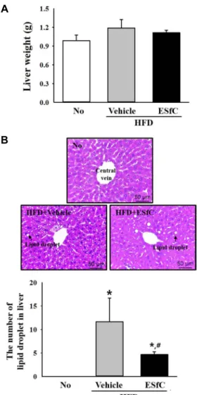 Fig.  4.  Weight  and  histological  structure  of  liver.  (A)  Weight  of  liver  collected  from  abdominal  region  were  measured  using  electrical  balance