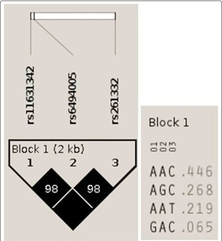 Figure 1 LD plot of block 1. The LD plot represents the pair-wise D ’ and haplotype frequency.