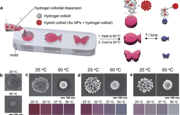 Figure 1.  Fabrication of colloidal plasmonic hydrogel architectures consisting of hydrogel colloids  and hybrid colloids