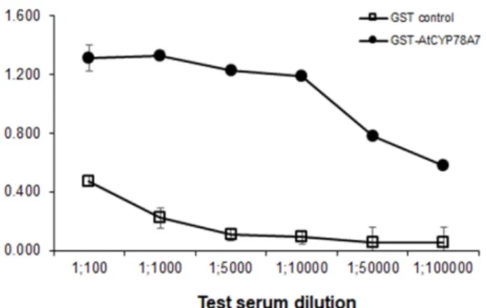 Fig.  1.  Specificity  of  the  polyclonal  GST-AtCYP78A7  antibody  (Ab)  from  bleeding  serum  as  ELISA  test