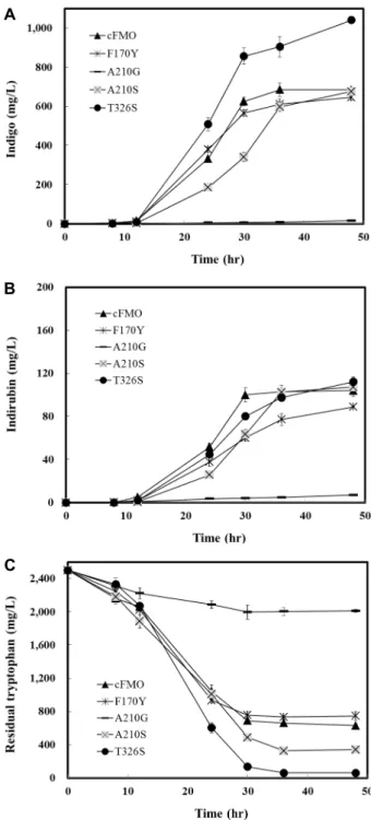 Fig.  4.  Production  of  indigo  and  indirubin  by  recombinant  E. 
