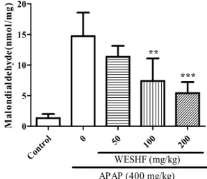 Table  3.  Effects  of  hot  water  extract  from  Stauntonia  hexaphylla  fruit  (WESHF)  on  serum  transaminases  activity  in  the  acetaminophen  (APAP)-induced  liver  injury  in  mice