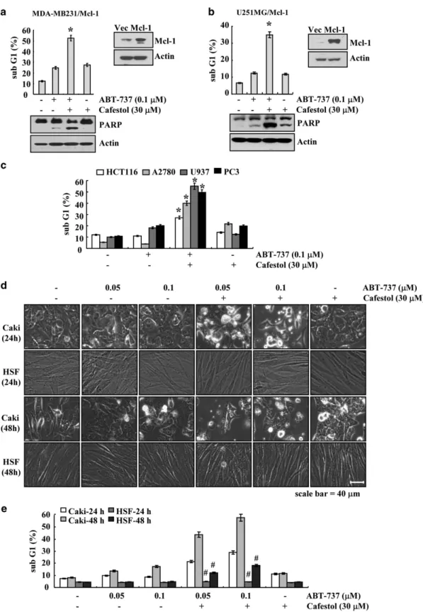 Figure 2 Effects of cafestol on ABT-737-induced apoptosis in other cell lines. (a and b) MDA-MB231 and U251MG cells were transiently transfected with pFLAG-CMV4 vector or pFLAG-CMV4/Mcl-1