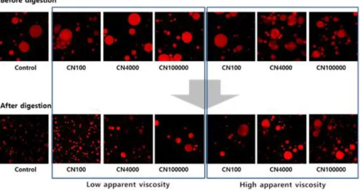 Fig. 3 shows representative confocal images of instant fried noodles containing HPMC depending on different apparent viscosity