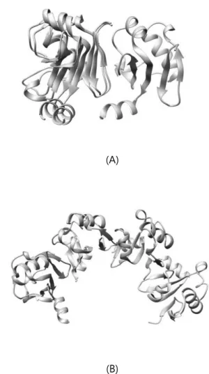 Table  1 shows RMSD, TM-score, F nat   result  for docking result of ARF5 homodimer  structures