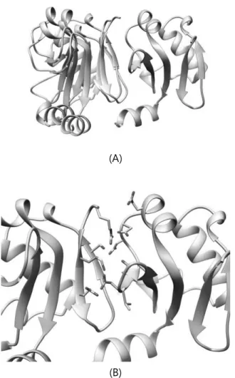 Table  1.  Docking evaluation results of ARF5  homodimer (RMSD, TM-score, F nat ) 