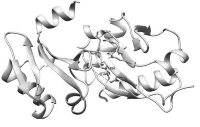Table  3.  Ensemble docking F nat   result of  Aux/IAA17_loop2 homodimer 