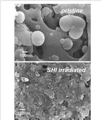 Figure 3 Scanning electron microscopy images of pristine and O 2 ion-irradiated TiO 2 compact layer.
