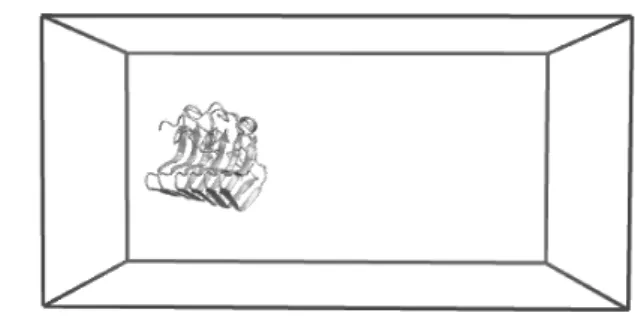 Figure 2. Protein in a box. Right side of the  chains (Chain C) was pulled by constant force