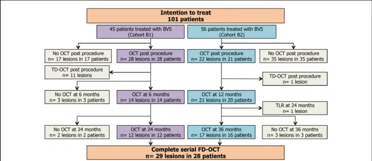 Figure 1.    Flow chart of serial FD-OCT investigation in Cohort B of the ABSORB clinical trial
