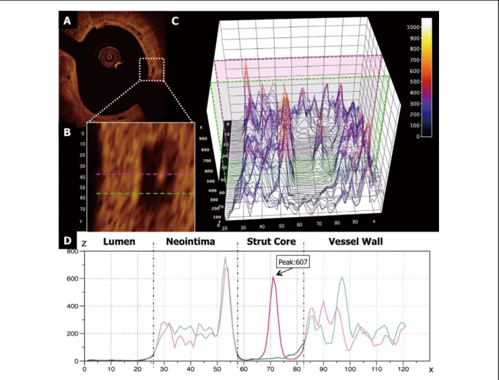 Figure 4.    Two-dimensional and three-dimensional presentations of light intensity of the strut core