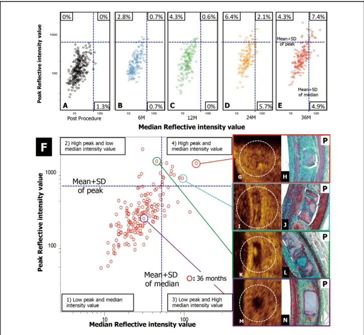 Figure 6.    Quantitative light intensity assessment of strut integration on optical coherence tomography (OCT)