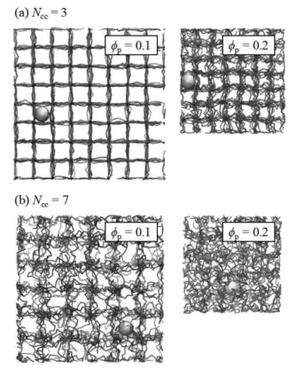 Figure  1. Snapshots of a tracer particle 