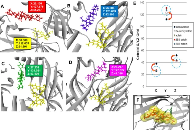 Fig.  2.  In  silico  molecular  3D  docking  pattern  of  the  tubocurarine  (yellow  color  stick),  actein  (red  color  stick)  (A),  27-deoxyactein  (blue  color  stick)  (B),  (26S)-actein  (green  color  stick)  (C),  and  (26R)-actein  (purple  col