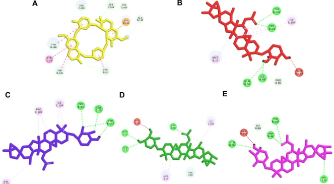 Fig.  3.  In  silico  molecular  2D  docking  pattern  of  the  (A)  tubocurarine  (yellow  color  stick),  (B)  actein  (red  color  stick),  (C)  27-deoxyactein  (blue  color  stick),  (D)  (26S)-actein  (green  color  stick),  (E)  (26R)-actein  (purple