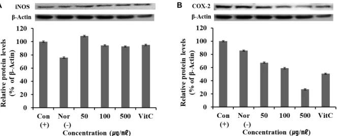 Fig.  3.  iNOS  and  COX-2  protein  expression  rate  of  Glechoma  hederacea  var.  longituba  extracts  on  RAW  264.7  cells