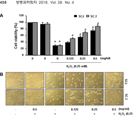 Fig.  2.  Effects  of  SCJ  and  SC2  on  the  H 2 O 2 -  induced  growth  inhibition  in  HaCaT  cells
