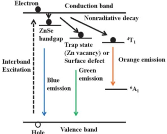 Fig. 1 Schematic representation of the model ascribed to di ﬀerent emission from ZnSe/ZnS:Mn and ZnSe/ZnS:Mn/ZnS NCs.