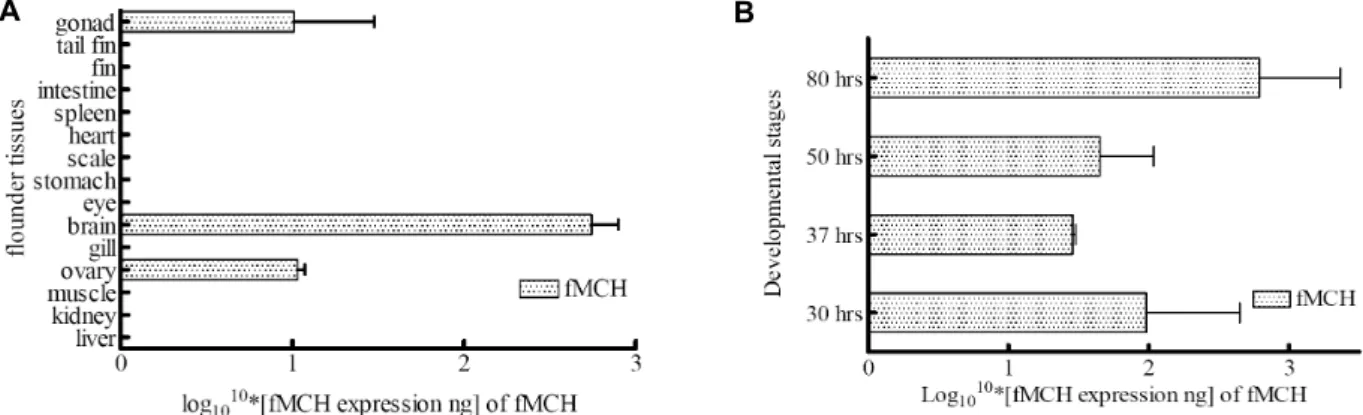 Fig.  2.  Quantitative  real-time  PCR  analysis  of  fMCH  transcripts  in  different  tissues  and  in  developmental  stages