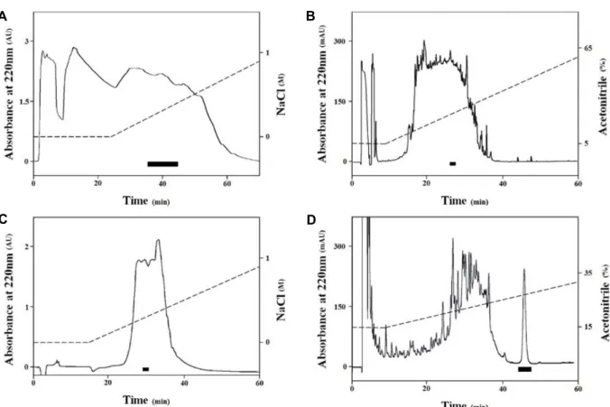 Fig.  3.  A  series  of  HPLC  steps  used  in  the  isolation  process.  The  antibacterial  activity  of  each  fraction  against  B