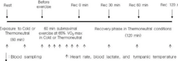 FIG. 1.  SCHEMATIC DIAGRAM OF EXPERIMENTAL DESIGN 