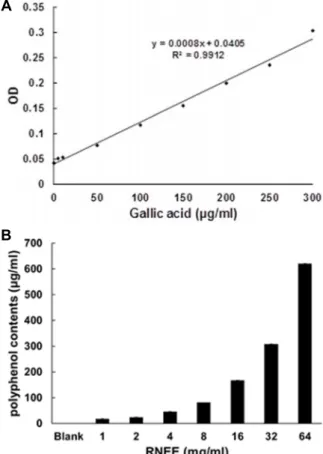 Fig.  1.  Standard  curve  and  total  polyphenol  content  of  RNEE. 