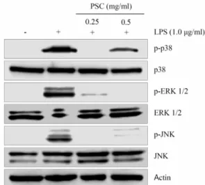 Fig.  2.  Down-regulation  of  expression  of  iNOS  and  COX-2  gene  by  PSC  treatment