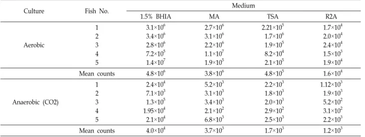 Table  1.  Intestinal  microbial  flora  isolated  from  the  red  tilefish  (Branchiostegus  japonicus) 