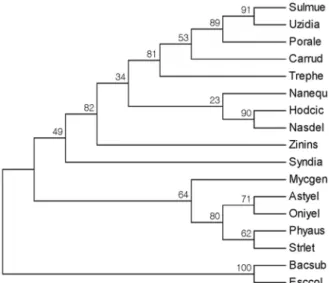 Fig.  2.  ML  (Maximum  Likelihood)  phylogenetic  tree  of  15  pro- pro-caryotes,  E