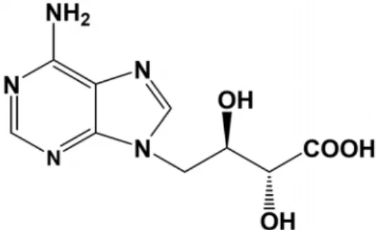 Fig.  1.  Chemical  structure  of  EA  [2(R),  3(R)-dihydroxy-4-(9-ad- 3(R)-dihydroxy-4-(9-ad-enyl)-butanoic  acid]  from  L