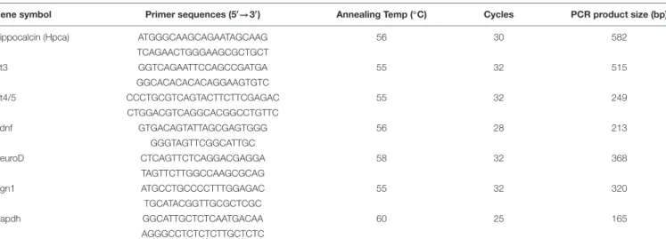 TABLE 1 | Primers used for RT-PCR.