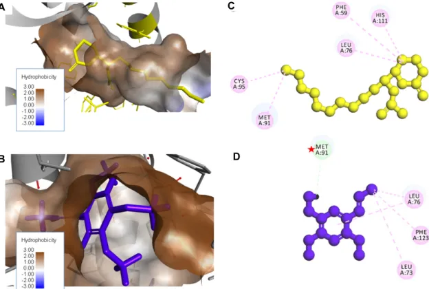Fig.  3.  Hydrophobicity  surface  patterns  (brown  color)  of  the  MOP  (A)  and  beta-asarone  (B)  on  the  CquiOBP1  active  site