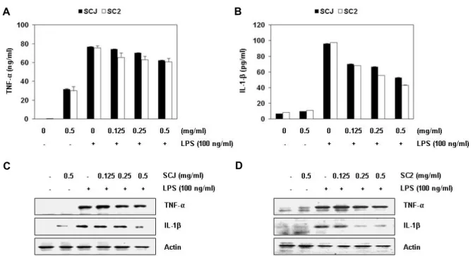 Fig.  3.  Effects  of  Socheongja  and  Socheong  2  on  LPS-induced  TNF-α and  IL-1β production  and  protein  expression  in  RAW  264.7  macrophages