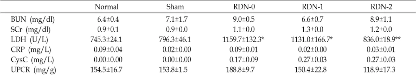 Table  1.  Clinical  parameters  in  acute  renal  and  myocardial  injury  after  RDN Normal Sham RDN-0 RDN-1 RDN-2 BUN  (mg/dl) SCr  (mg/dl) LDH  (U/L) CRP  (mg/L) CysC  (mg/L) UPCR  (mg/g)     6.4±0.4    0.9±0.1 745.3±24.1   0.09±0.04  0.00±0.00154.5±16