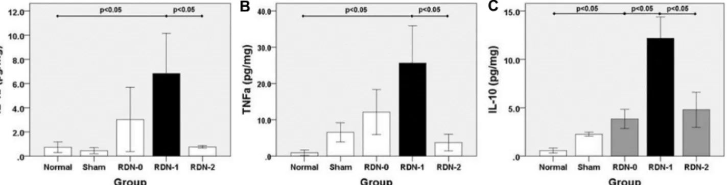 Fig.  2.  Pro-inflammatory  and  anti-inflammatory  cytokines  associated  with  myocardial  damage  after  RDN