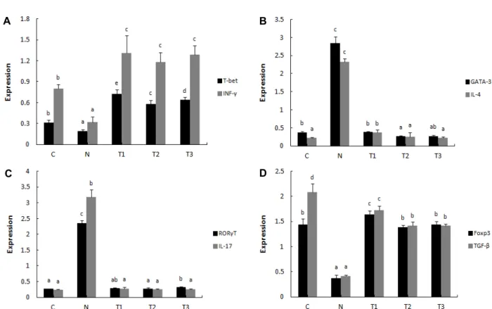 Fig.  4.  Effects  of  β-1,3/1,6-glucan  and  L.  plantarum  LM1004  on  the  transcription  factor  and  cytokine  expression