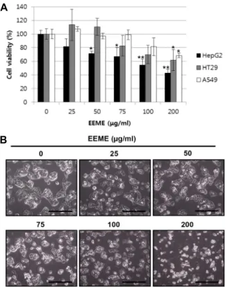 Fig.  1.  Effects  of  EEME  on  cell  growth  in  various  cancer  cell  lines. 