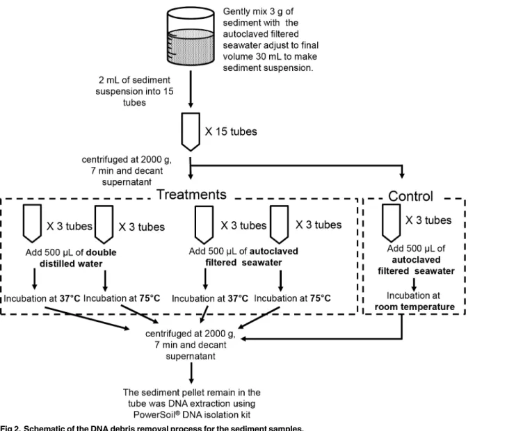 Fig 2. Schematic of the DNA debris removal process for the sediment samples. doi:10.1371/journal.pone.0145712.g002