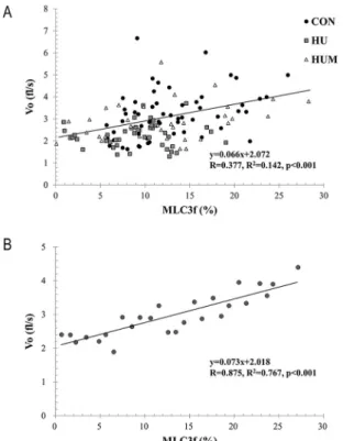 Fig 4. Relationship between Percent MLC3f content and Vo. The percent of MLC3f protein content and the