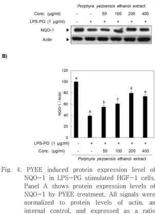 Fig.  4.  PYEE  induced  protein  expression  level  of  NQO-1  in  LPS-PG  stimulated  HGF-1  cells