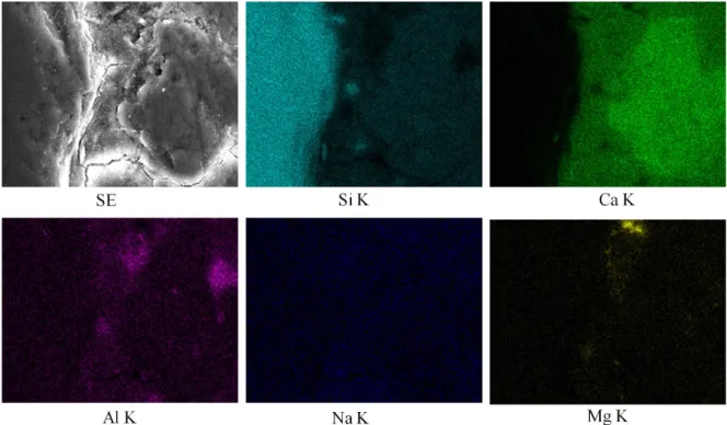Figure 8. SEM micrographs of concrete containing silica fume and (a) basalt, (b) quartzite, and (c) 