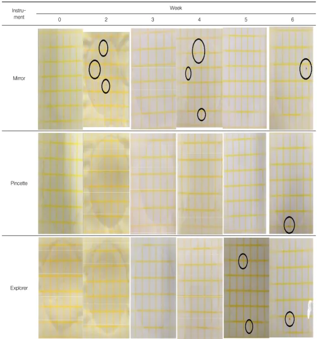 Fig.  1.  Colony  formation  on  the  surface  of  mirror,  pincette,  explorer  by  week