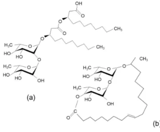 Fig.  3.  Chemical  structures  of  representative    rhamnolipid  (a)  and  sophorolipid  (b).