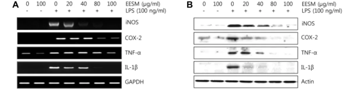 Fig.  3.  Effects  of  EESM  iNOS,  COX-2,  TNF-α and  IL-1β expression  in  LPS-stimulated  RAW  264.7  macrophages
