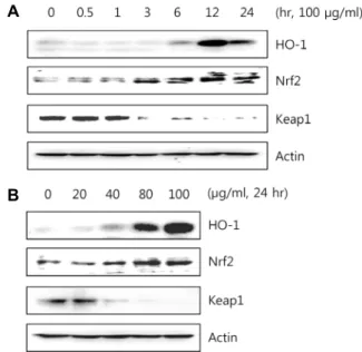 Fig.  5.  Effects  of  EESM  treatment  on  PI3K/Akt  and  MAPKs  sig- sig-naling  pathways  in  RAW  264.7  macrophages